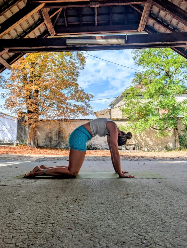 La posture du chat-vache, yoga, Heinrich fanny troubles digestifs